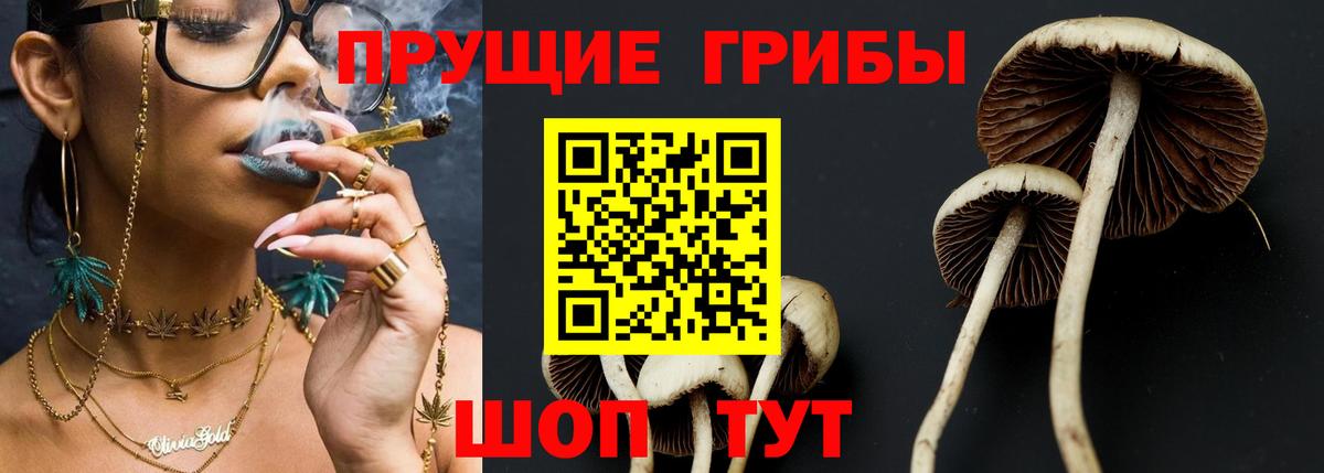 Верхняя Салда  где найти   Вход с VPN  Псилоцибиновые грибы Cubensis 
